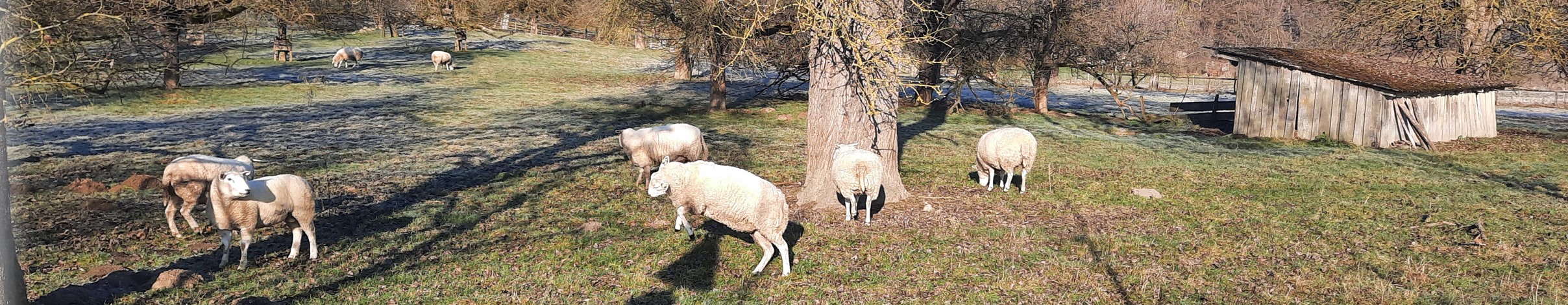 Landhof Auer
